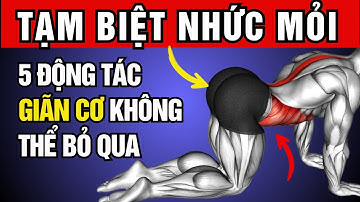 Chỉ 5 động tác Giãn Cơ Toàn thân Này, Sẽ Hết đau lưng, Mỏi vai Gáy, Phục hồi cơ thể Ngay Lập tức!