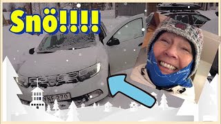 Snö!!! - Skotta, köra i diket, gräva snögrotta - Lär dig svenska