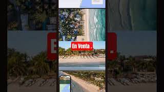 hotel en Venta Tulum #anime #phonk #music #animeedit #newmusic #song #relaxingmusic #singer