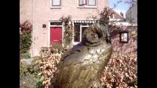 Voorjaar In De Andreashof, 27 Maart 2014