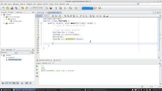 Java SE 0006   Tipo de datos boolean