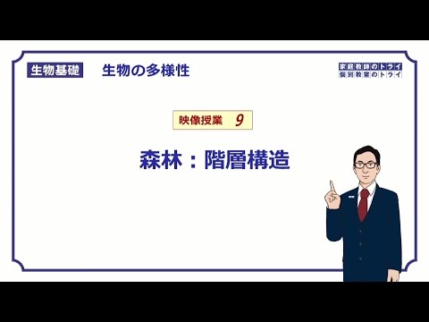 【生物基礎】　生物の多様性9　森林：階層構造　（１２分）