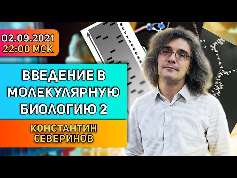 Константин Северинов. Введение в молекулярную биологию: Плавление, копирование и секвенирование ДНК.