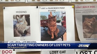 'It's absolutely heartbreaking': Scammers target owners of missing pets
