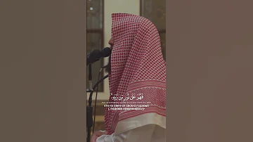 القارئ محمد اللحيدان أفمن شرح الله صدره للإسلام سورة الزمر Shorts محمد اللحيدان 