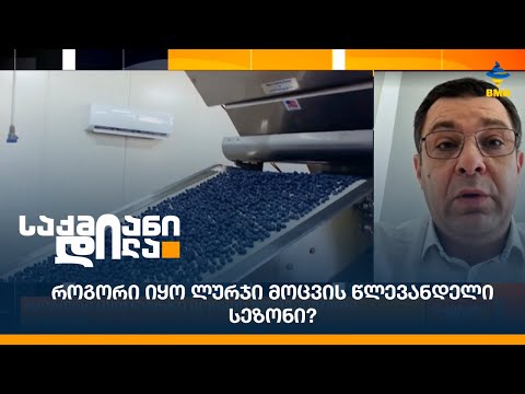 როგორი იყო ლურჯი მოცვის წლევანდელი სეზონი?