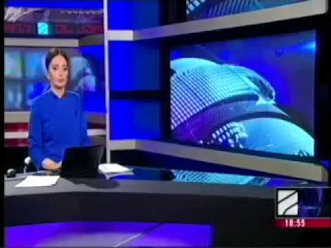 რუსთავში მიუსაფარ ცხოველთა მოვლის და მართვის ახალ მიდგომებზე  მუშაობა მიმდინარეობს