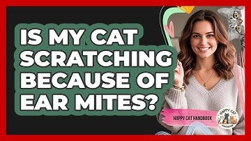 Is My Cat Scratching Because Of Ear Mites? - Happy Cat Handbook