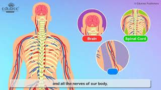 Science Scope Grade – 3 (Chapter  8) – Organ Systems