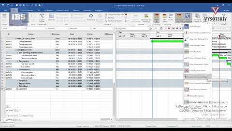 [Synchro PRO Basic] Gantt display settings