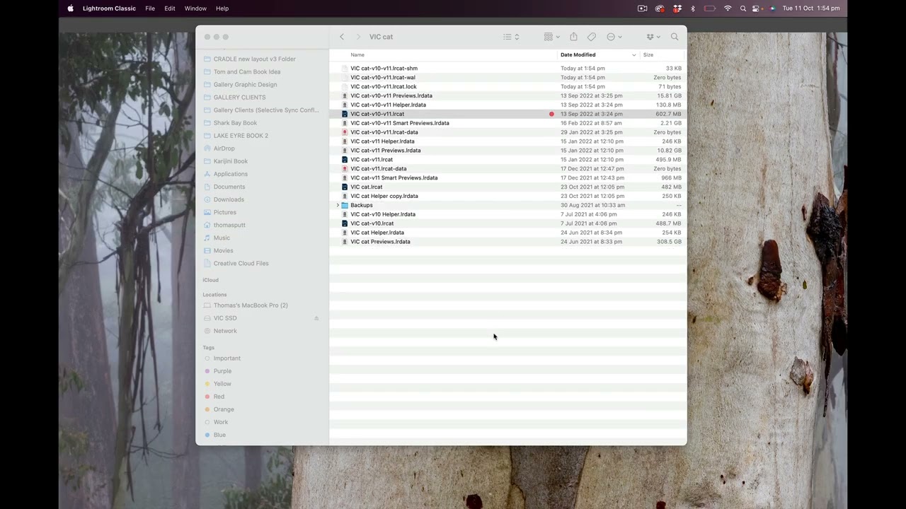 Importing and exporting images across Lightroom catalogs and hard