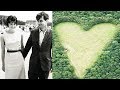 Мужчина в память о жене высадил 6000 дубов в форме огромного серца