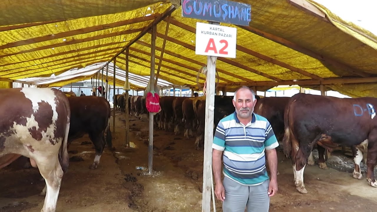 2023 Kurban Çadırı Gümüşhane İstanbul Kartal Yunus 🐬🤲