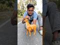 ₹560 Sika Deer Walking Unboxing Testing 😱