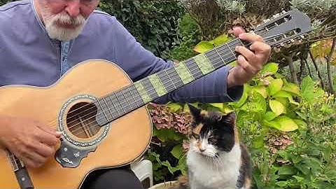"The Final Countdown" Like You’ve Never Heard… With a Cat as the Audience 🐱🎸