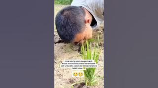 Sabar dan ikhlas..,akan ketentuannya..