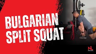 Bulgarian Split Squat with Hip Hinge Phase 2