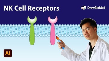 How to Draw Nature Killer Cell Receptor | Scientific Illustration | Graphical Abstract