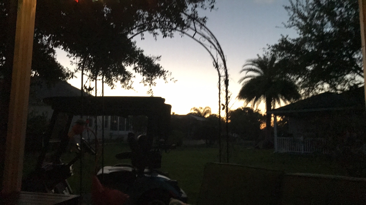 Tuesday 🌅 Sunrise how to slice an avocado