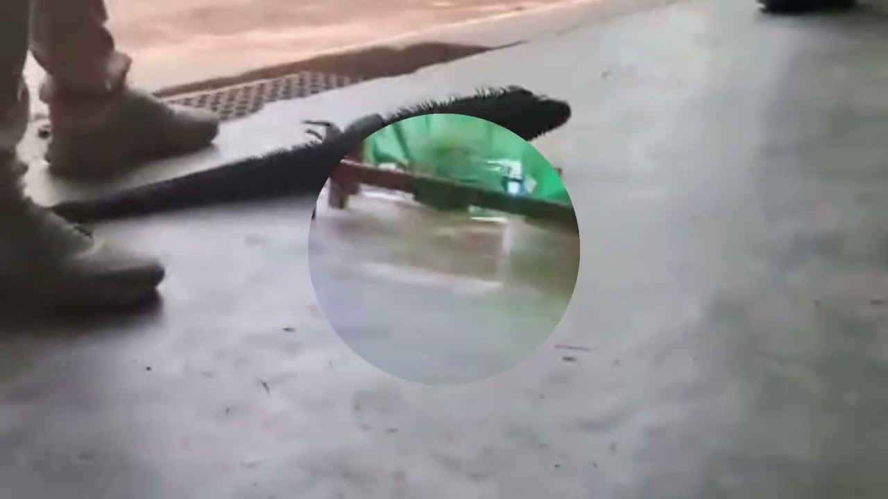 our trip to Prani - The Pet Sanctuary 