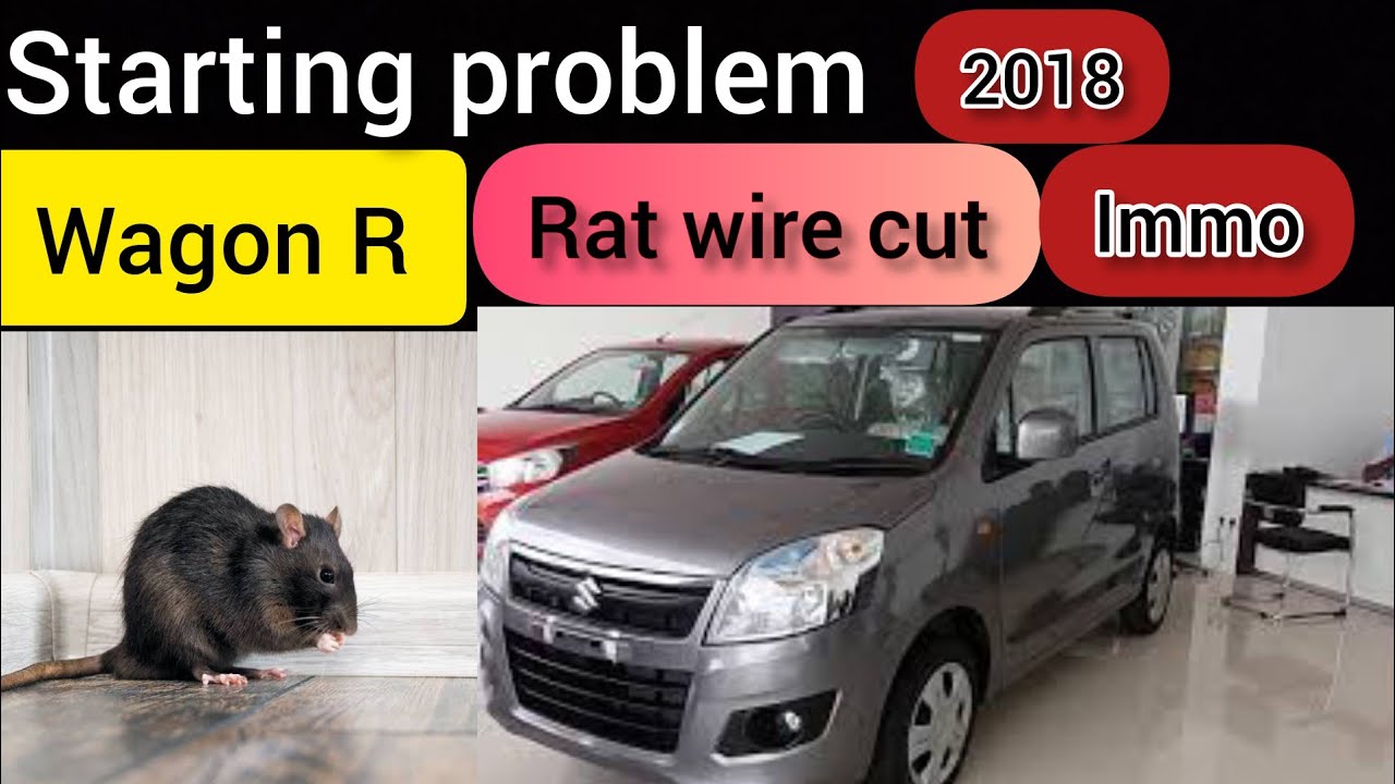 Wagon R Error Code Maruti Wagon R! not started! Repair full wiring! 2018 - YouTube