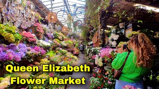 🇫🇷  Queen Elizabeth Flower Market in Paris 🌺 🚶
