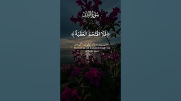 #سورة البلد #قرآن #راحة_نفسية #تلاوة_خاشعة #تلاوة_هادئة #اكسبلور #المصحف #explorepage #foryou