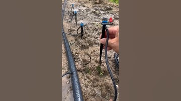 Béc phun mưa xòe 360 cắm gốc giá rẻ dễ lắp đặt #becphunmua