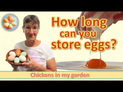 Video: How Many Chicken Eggs Are Stored In The Refrigerator