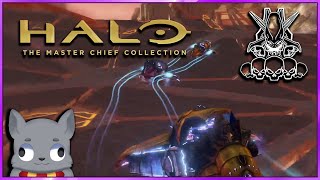 Halo 3 - Cortana and Halo LASO
Halo 3 - Cortana and Halo LASO Halo 3 - Cortana and Halo LASO