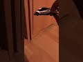 when you crashed and you pressing h to flip your car in roblox brookhaven #brookhaven #flip #h