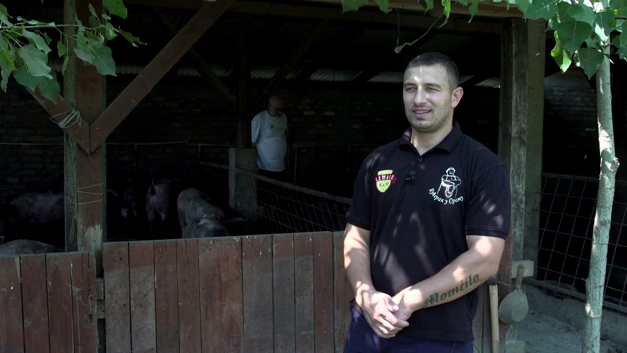 Srpski domaćin ep. 21 02.07.2020. Mladen Lemaić, Šid, uzgoj svinja i proizvodnja kulena