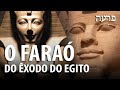 QUEM FOI O FARAÓ DO ÊXODO – Professor Responde 79 🎓