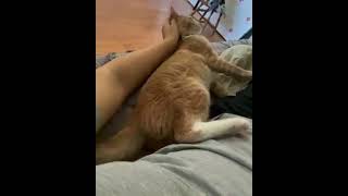 Did You Know My Brother Cameron Posh Is A Cult Leader