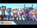 Paw Patrol | Pups Save the Winter Wonder Show Part 1 | Nick Jr. UK