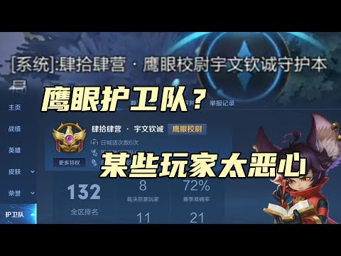 修鸽儿：鹰眼护卫队？恶心的系统，某些玩家无脑裁决