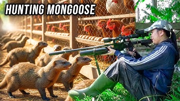 BERBURU GARANGAN MONSTER DI SARANGNYA....MELELAHKAN TAPI MENGASYIKAN