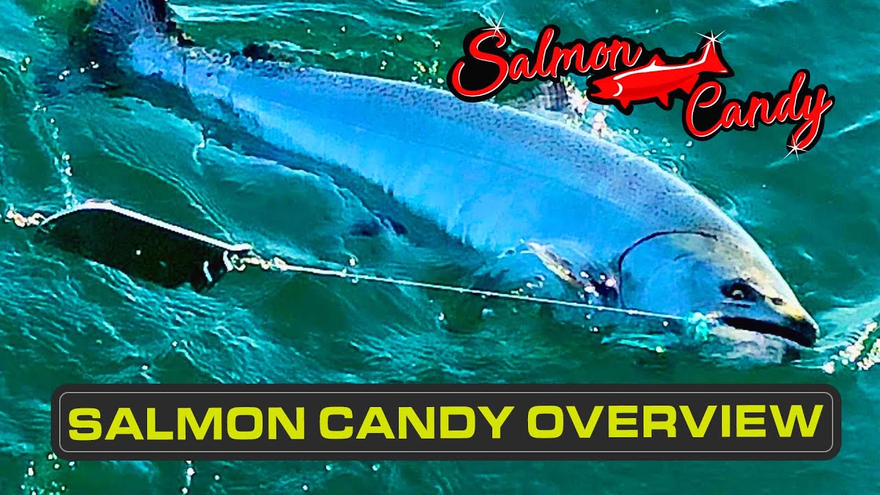 Salmon Candy Interchangeable Fly System 
