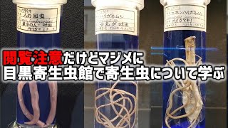 真面目に目黒寄生虫館で寄生虫について学びます