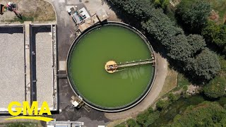 Could wastewater samples signal more COVID cases in the US? l GMA