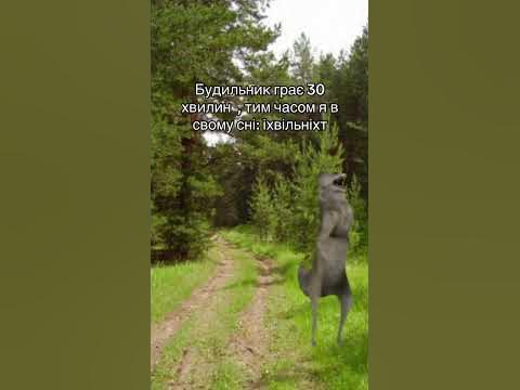 Іхвільніхт - YouTube