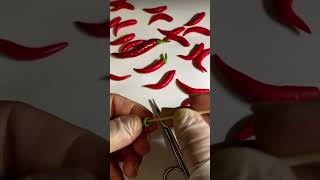Clay Making Very easy concept chilli🌶️ ￼ #kidsvideo #craftyhome #claykitchenset #toys #claycookware