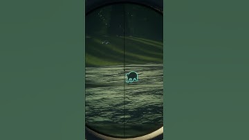 🐻 Troll Bear Takedown: Epic Pistol Shot in Hunter: Call of the Wild! 🔫😱 #cotw