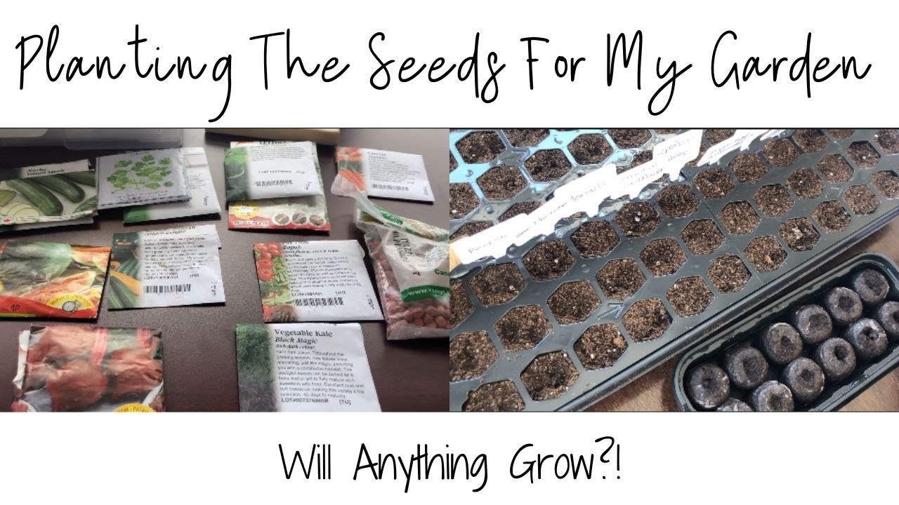 Planting Seeds for My 2023 Garden Plus Life... YouTube