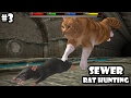 Ultimate Cat Simulator - Sewer Rat Hunting - Android/iOS - Gameplay Episode 3