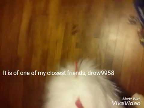 camera iphone 8 plus apk Where Did This Come From, Cotton Eyed Joe?