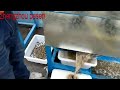 Automatic river snail shell and meat separator machine from Mary 0086-15514392005