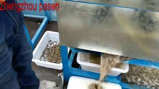 Automatic river snail shell and meat separator machine from Mary 0086-15514392005