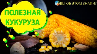 Полезная кукуруза