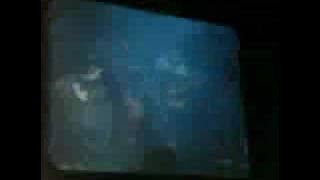 unimas 2009-petak band